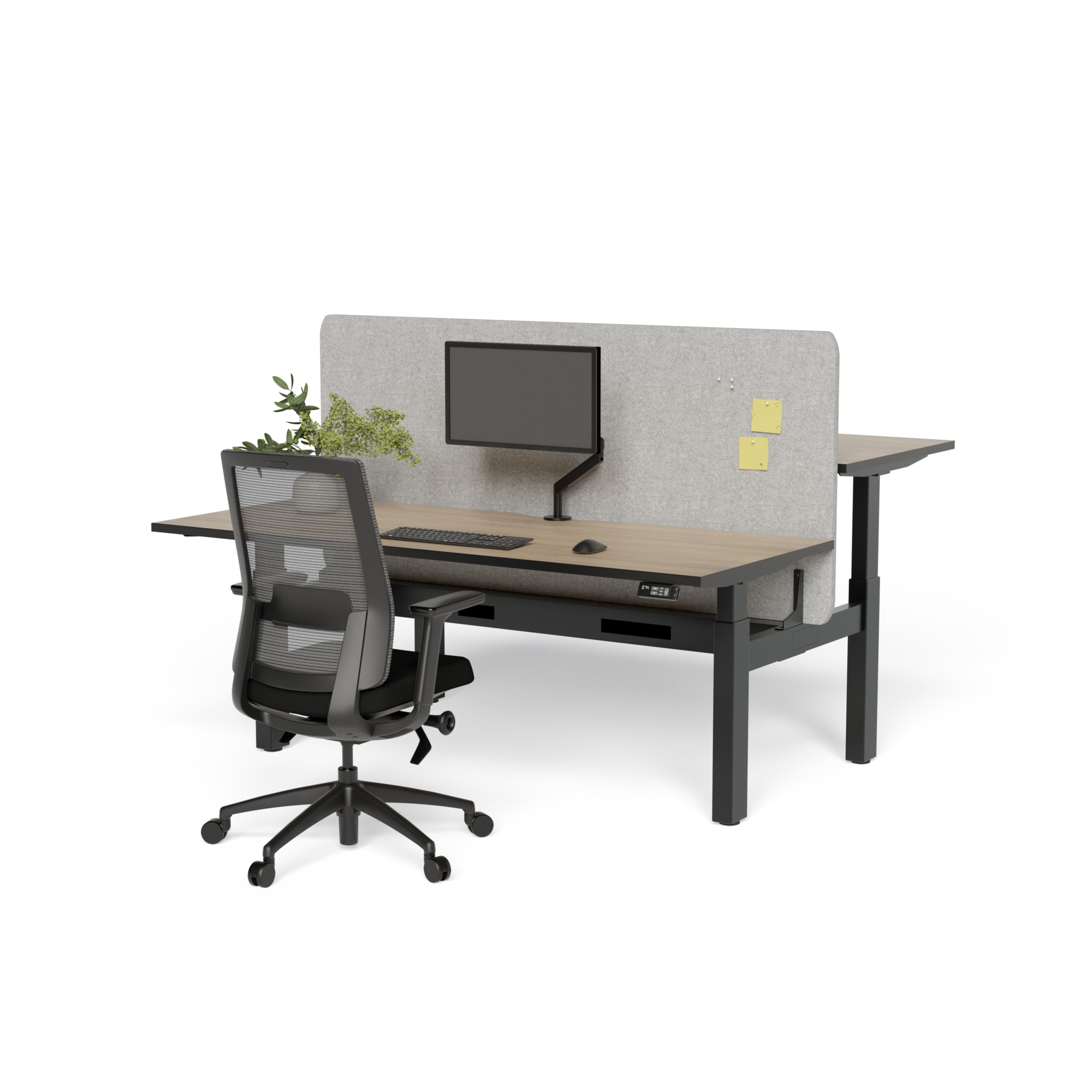 EDE-B2B-187 - 1800x750 Back to Back Desks Square leg with bracket and with arm and cable tray Black Frame, Black Top with Wild Oak trim vers 2 copy