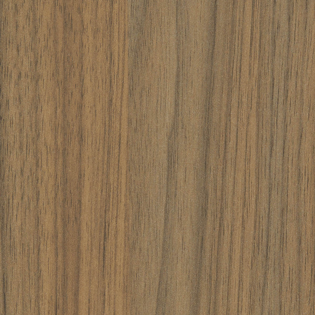 Danish-Walnut-Natural-1200x1200 copy