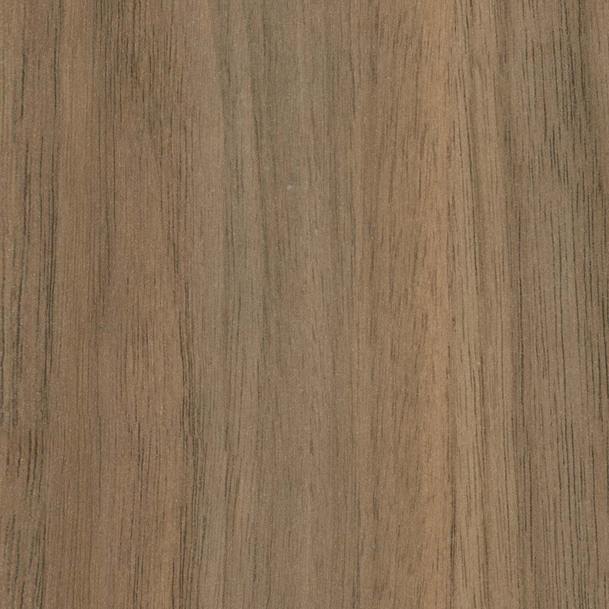 LX-ColourCollection-Natural-Walnut-RGB-1200x1200-HR copy